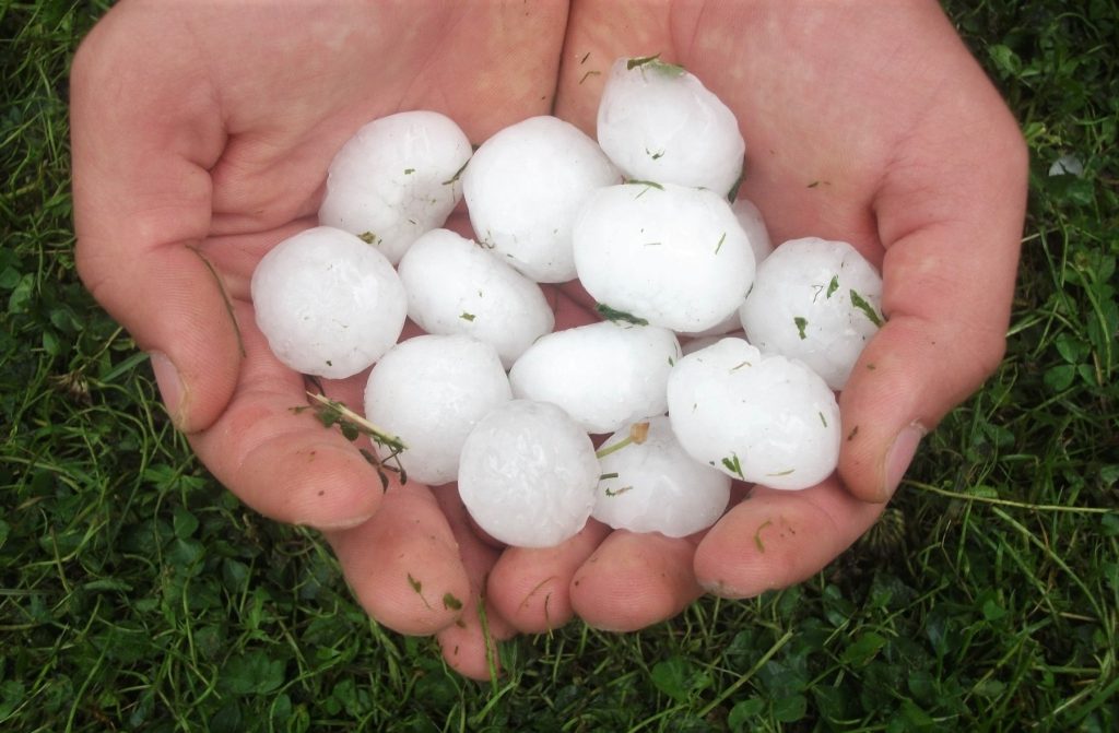 How does the Alberta Hail Suppression Project Help Manage Severe Summer Weather?