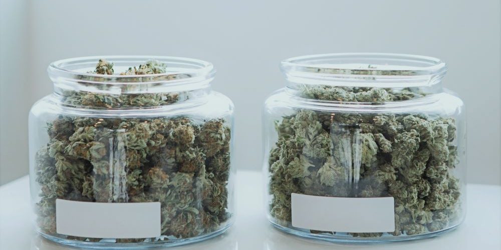 Insurance Requirements for Licensed Cannabis Retailers in